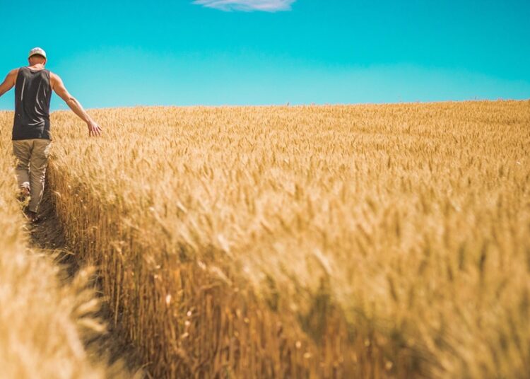 Dünya ‘açlık kasırgasıyla’ karşı karşıya