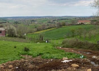 Zorunlu ‘kanal’ göçü