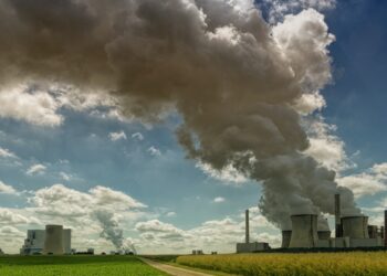 Dünya bizi elli yıl daha taşır mı?