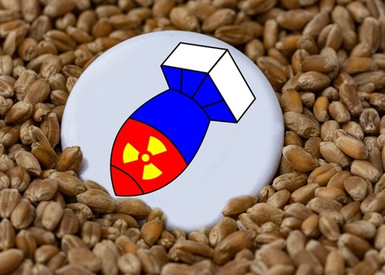 Ukrayna ihracatının karmaşık yolları